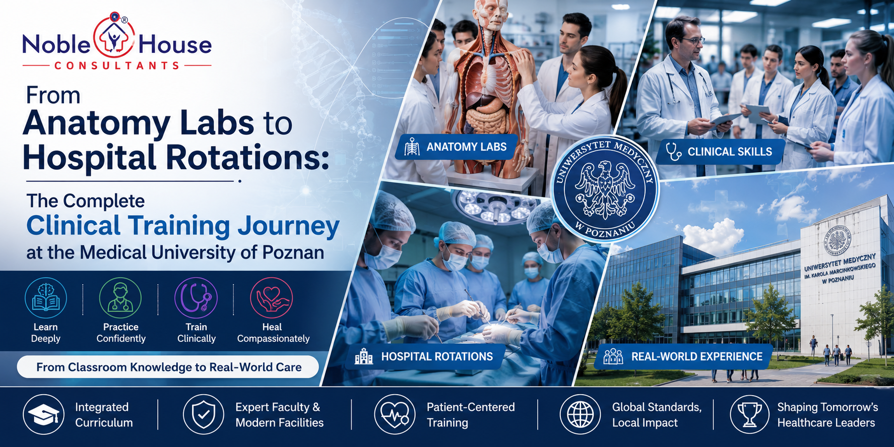 Medical University of Poznan clinical training journey